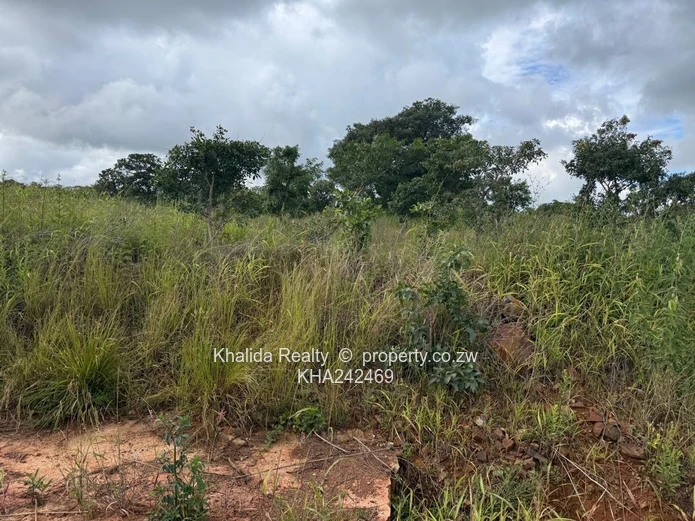 Pomona buckland terrace stand for sale