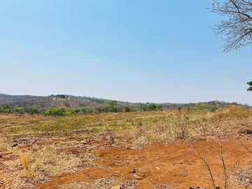 Farm & Agricultural Land