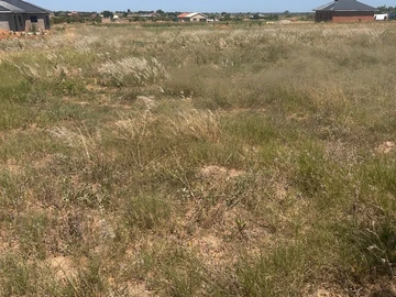 Stands & Residential Land