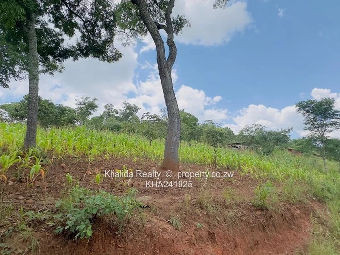 Gletwin Stand for Sale 