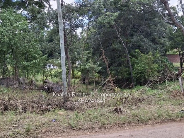 GLEN LORNE Stand with 7 roomed cottage for sale.