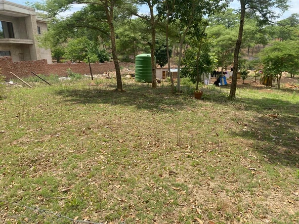 Stands & Residential Land