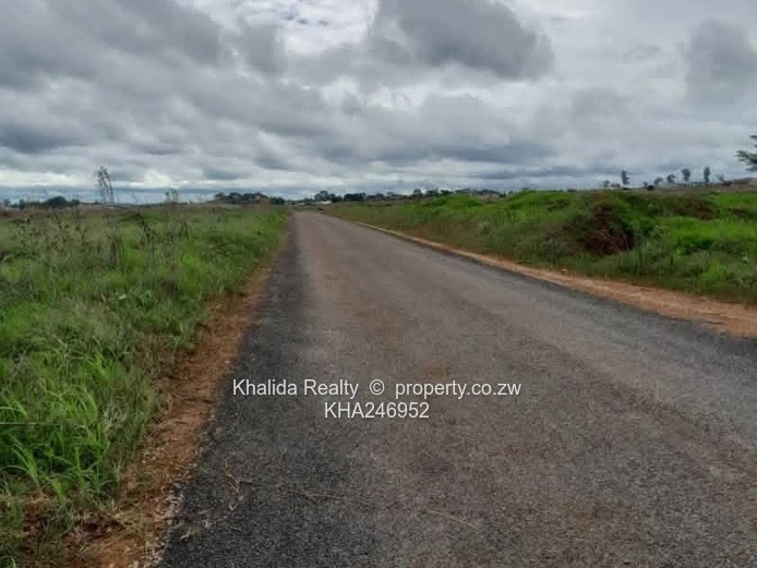 Pomona Nyeredzi Stand For Sale In Phase 2