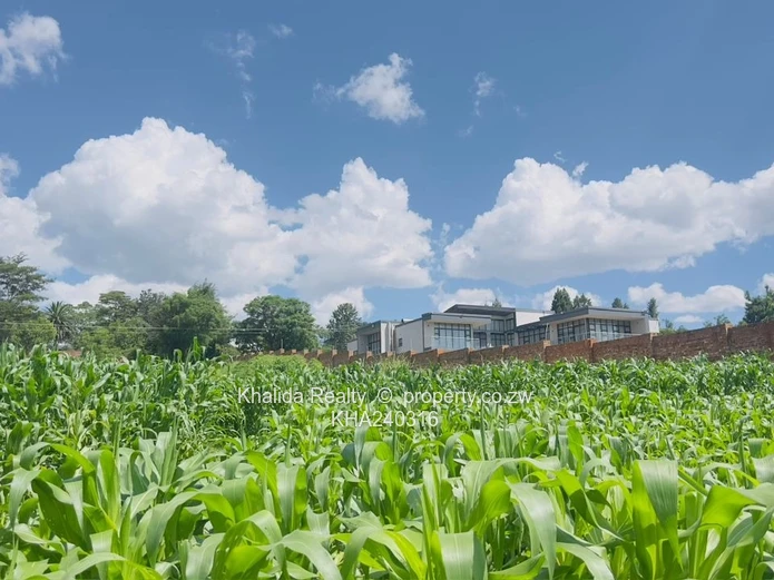 Prime Stand For Sale  In Glen Lorne