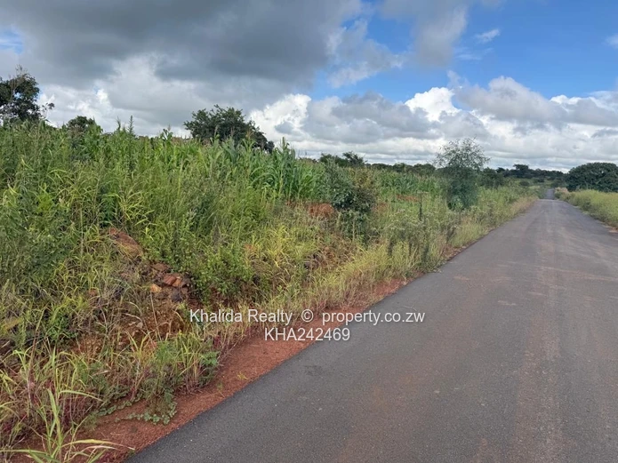 Pomona buckland terrace stand for sale