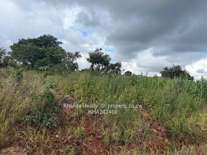 Pomona buckland terrace stand for sale