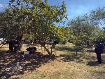 Commercial & Industrial Land