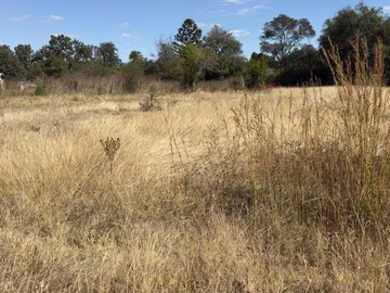 Commercial & Industrial Land