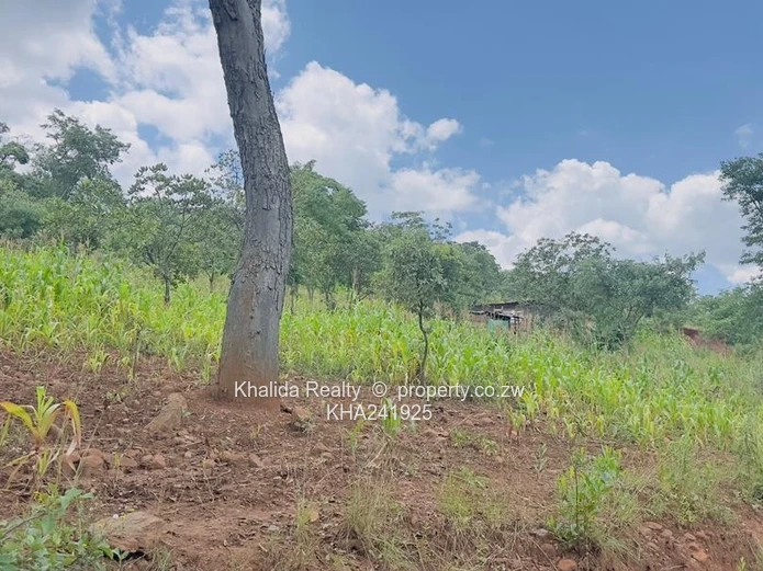 Gletwin Stand for Sale 