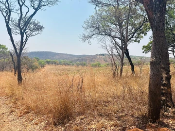 Farm & Agricultural Land