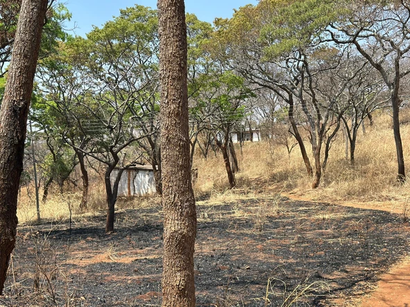 Farm & Agricultural Land