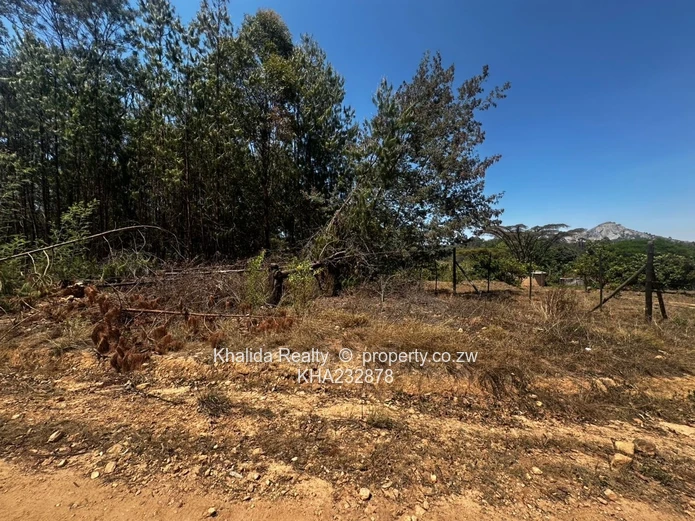 Prime 8,000sqm Stand for Sale – Juliusdale, Nyanga  (Sole Mandate)