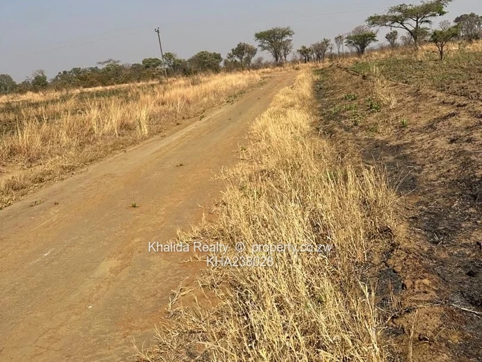 Norton Mwashuma Park stand for sale