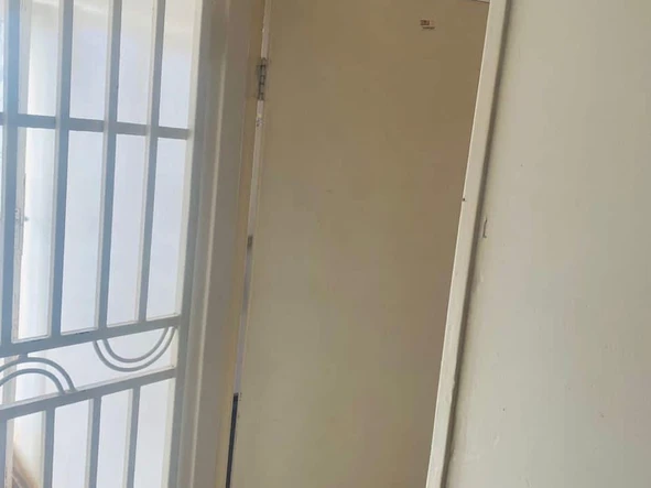 Flat & Apartment