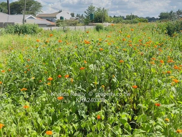 Prime Stand For Sale | Marlborough With Approved Plan For 3 Clusters