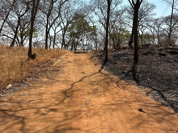 Farm & Agricultural Land