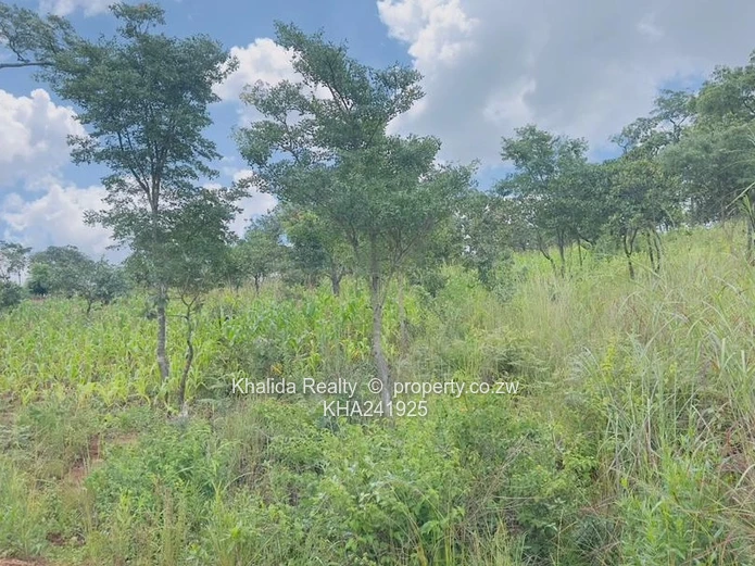 Gletwin Stand for Sale 