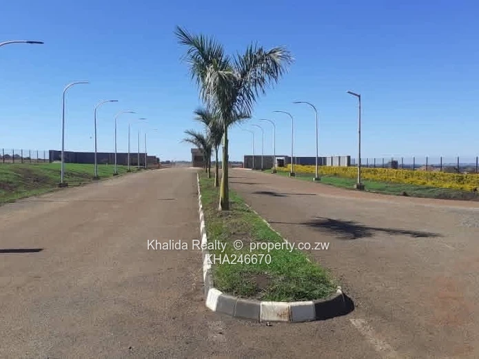 Borrowdale Pomona Nyeredzi stand for sale