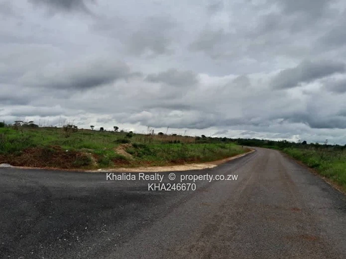 Borrowdale Pomona Nyeredzi stand for sale