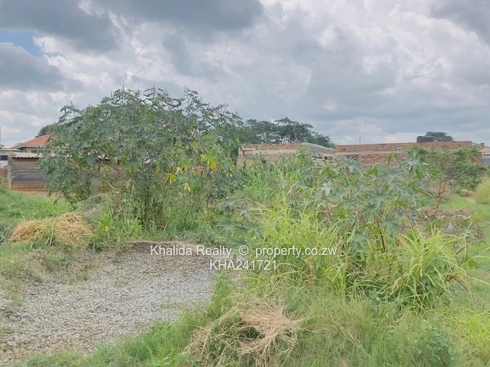 Granary Stand For Sale just next to Whitehouse. 