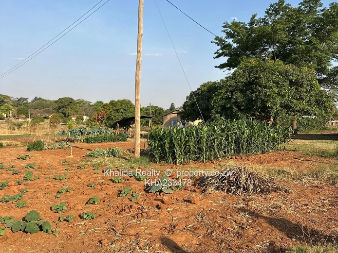 Orange Grove Property for Sale in Chinhoyi Argo-Residential  (Sole Mandate)