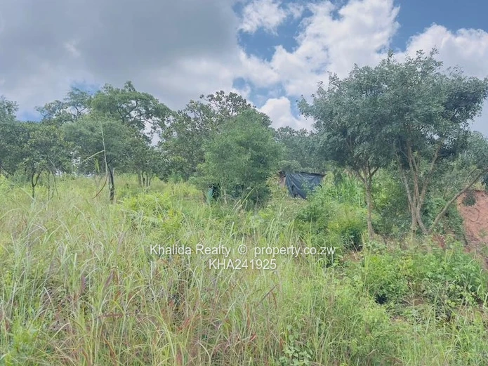 Gletwin Stand for Sale 