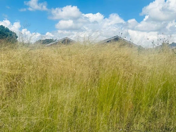 Land