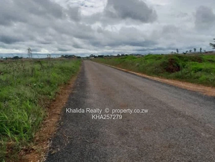Pomona Nyeredzi Ridge Stand For Sale 