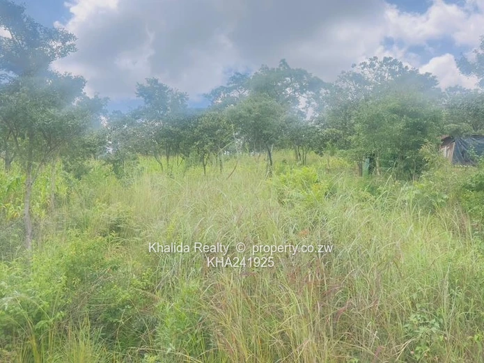 Gletwin Stand for Sale 