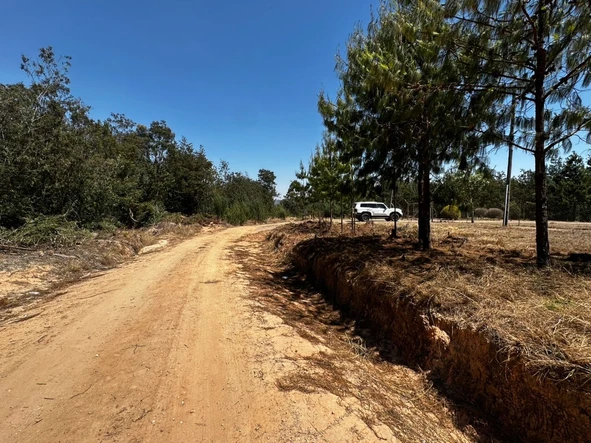 Stands & Residential Land