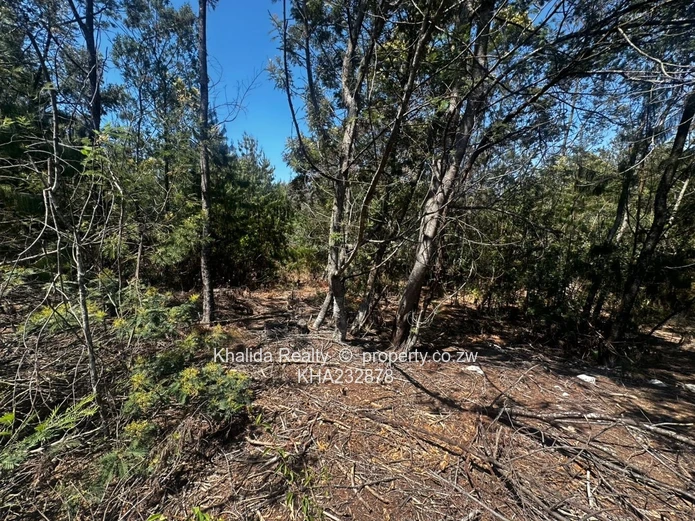 Prime 8,000sqm Stand for Sale – Juliusdale, Nyanga  (Sole Mandate)