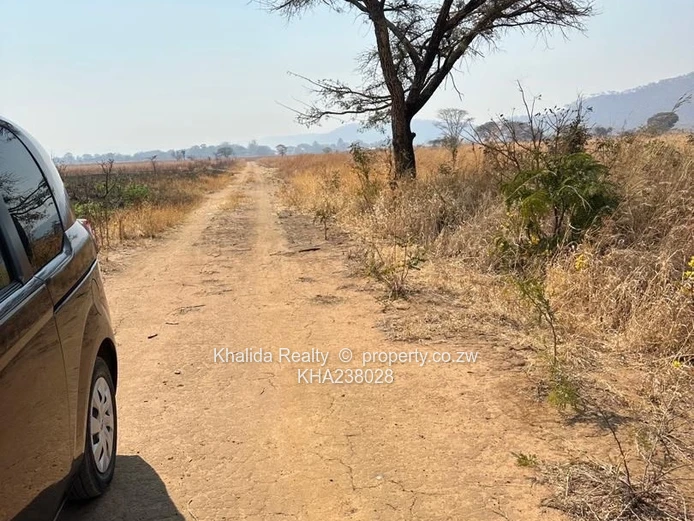 Norton Mwashuma Park stand for sale