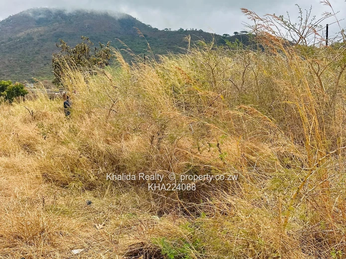 Mutare Weirmouth stands x3 for sale