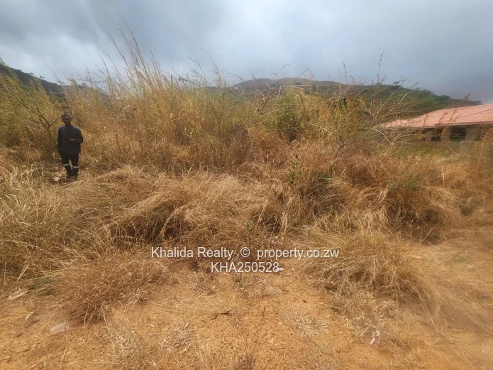 Mutare Weirmouth stands for sale