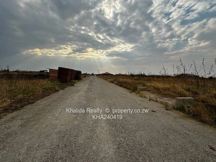 Glaudina Residential Stand