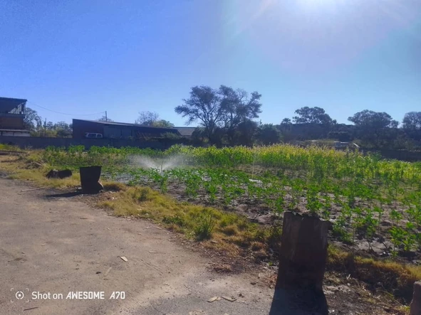 Commercial & Industrial Land