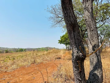Farm & Agricultural Land