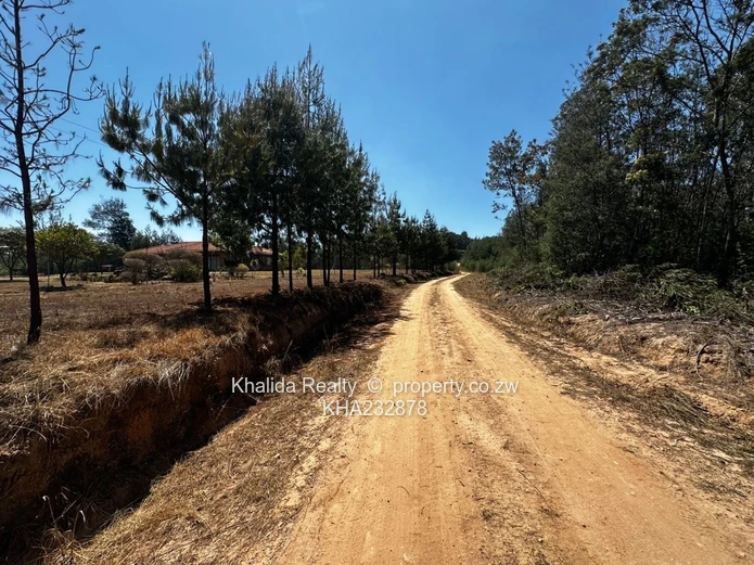 Prime 8,000sqm Stand for Sale – Juliusdale, Nyanga  (Sole Mandate)
