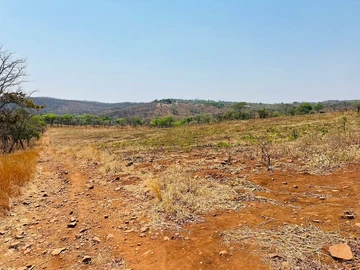 Farm & Agricultural Land