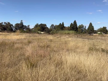 Commercial & Industrial Land