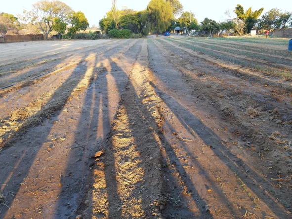 Farm & Agricultural Land