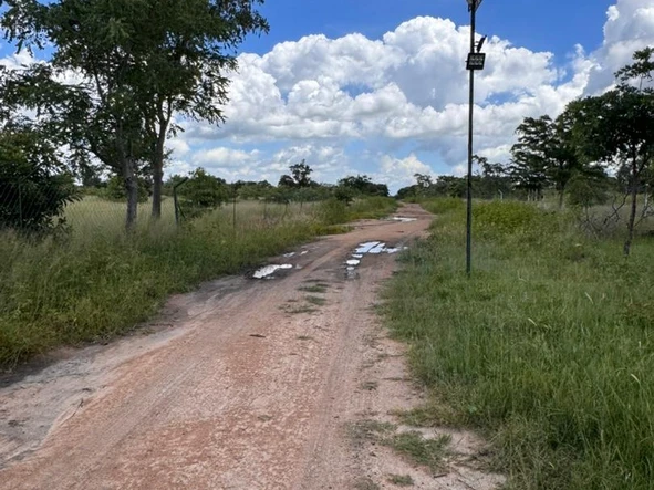 Farm & Agricultural Land