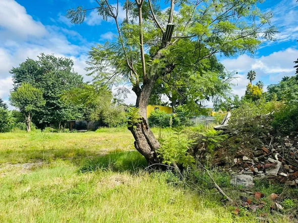 Stands & Residential Land