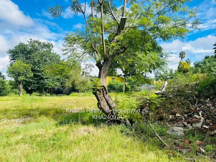 Avondale Prime Land For Sale